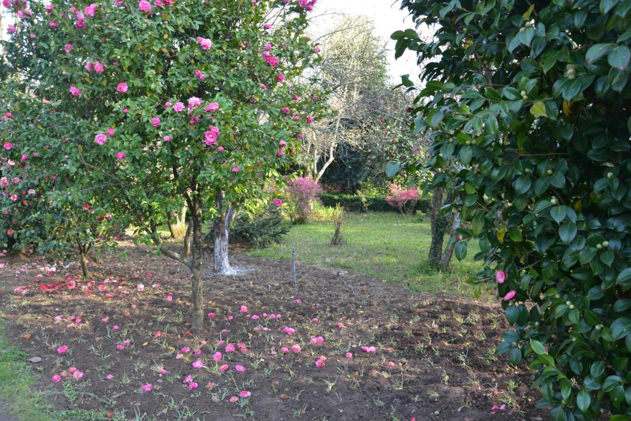 Quinta D'Avo Amelia Bed and Breakfast Alquerubim Eksteriør billede