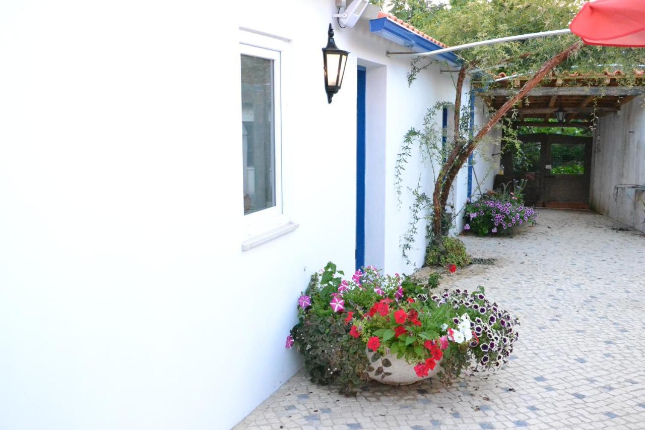 Quinta D'Avo Amelia Bed and Breakfast Alquerubim Eksteriør billede