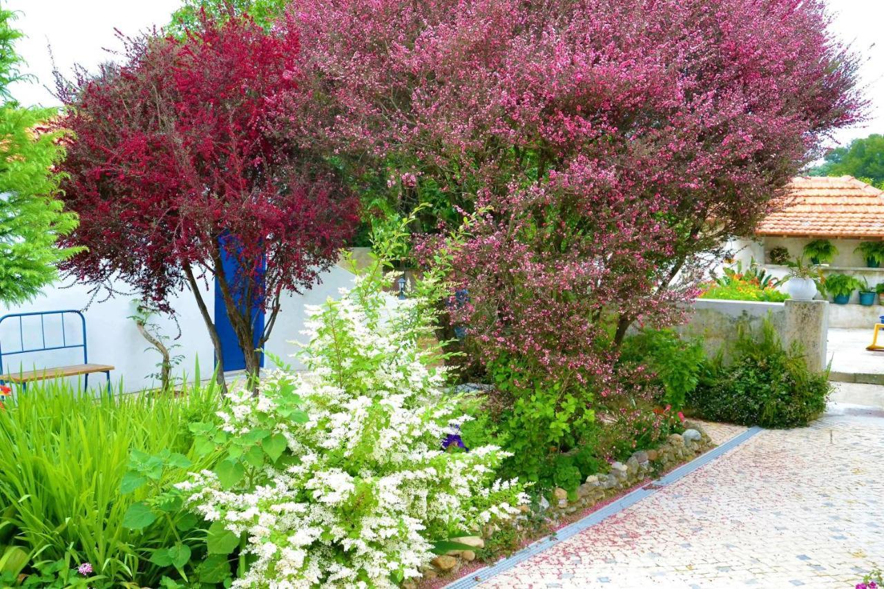 Quinta D'Avo Amelia Bed and Breakfast Alquerubim Eksteriør billede